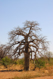 24 November 2006