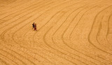 Couple at Freshwater beach