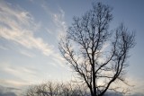 March 29, 2007