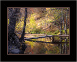 Footbridge