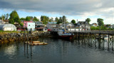 Craig Alaska