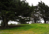 mImg_1087.jpg