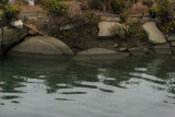 Short bridge over water