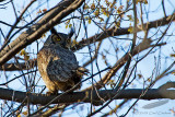 05/01/2013 - _MG_0668.jpg