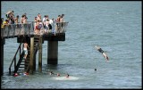 Fun at Murrays Bay Wharf 2.jpg