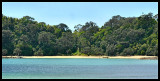 WhaleBay Northland.jpg
