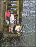 Fishing at Murrays Bay.jpg