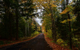 Fall Drive