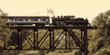 Steamer