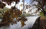 Fall on the Riverbank