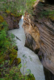 32_Athabasca Falls.jpg