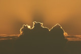 Wolk