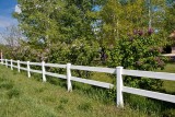8206 Lilacs