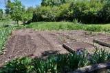 8279 Garden