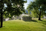 8326 irrigation.jpg