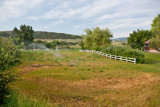 8333 Irrigation.jpg