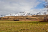 8527 first snow.jpg