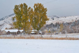 8540 Neighbors house