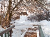0932 The Other Side