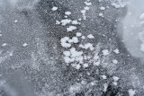 8681 Ice flowers and ice needles