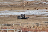 8711 Elk.jpg
