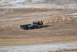 8713 Elk.jpg
