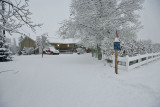 8715 Snow
