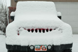 8718 Snow