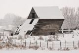 8727 Snow