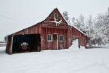 8729 Snow