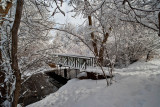 8732 Bridge