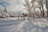 8736 House from lower pasture