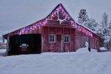 8745 Snow.jpg