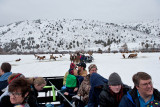 8791 Elk.jpg