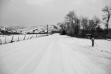 8852 Snowy road at dusk