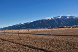 8937 Mountain Snow.jpg