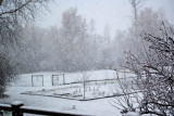 8964 March 30....Spring?