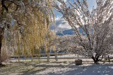 8974 April 23 snow.jpg