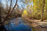 9808 River.jpg