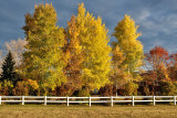 9847 House colors.jpg