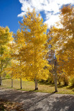 9883 House colors.jpg