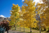 9884 House colors.jpg