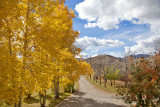 9890 House colors.jpg