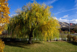 9903 House colors.jpg