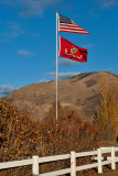 9965 Veterans Day 2014.jpg