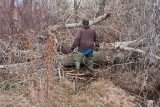 9963 Beaver.jpg