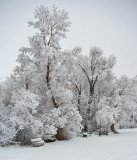 0128 Upper pasture