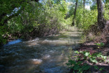 0593 High water.jpg
