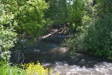 0596 High water.jpg