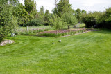 0617 back yard.jpg